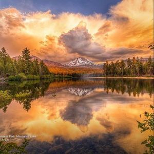 Meet your Posher, Sherry